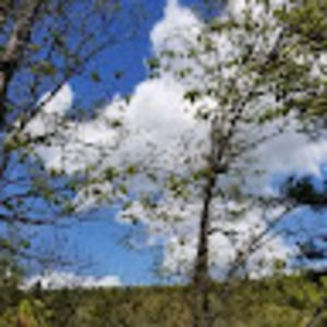 Meet your Posher, Leonda